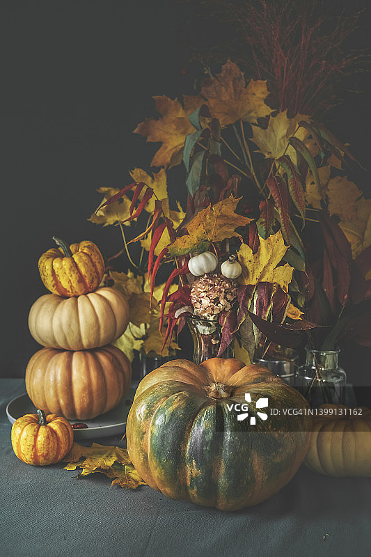 深色墙壁背景下，摆放在桌子上，带有秋叶和树枝的各种南瓜图片素材