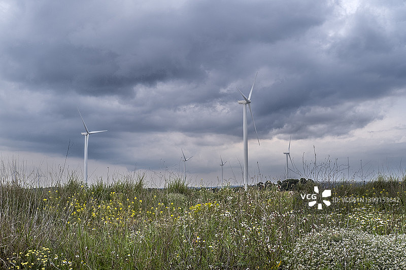 塔拉戈纳的风车图片素材