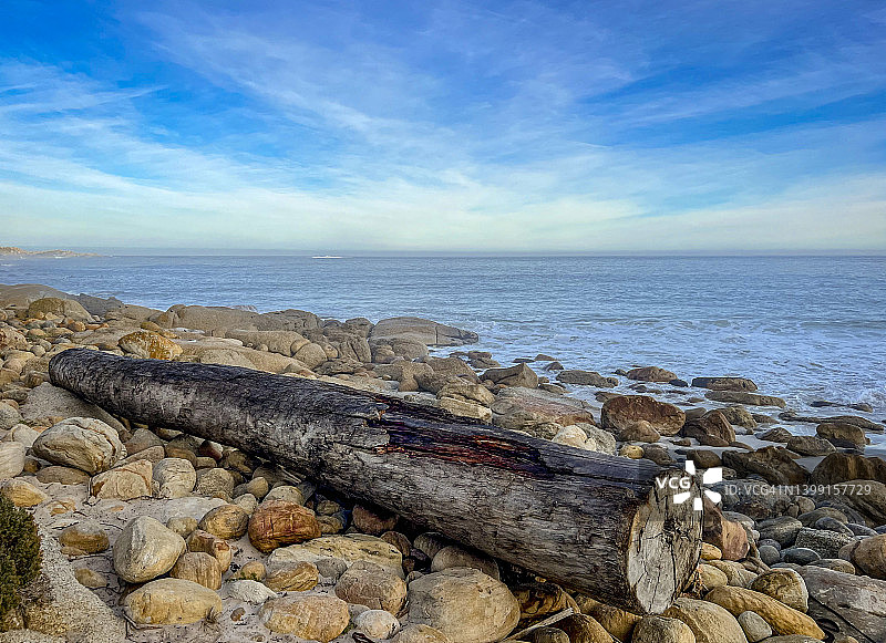 海上滚落的树木图片素材