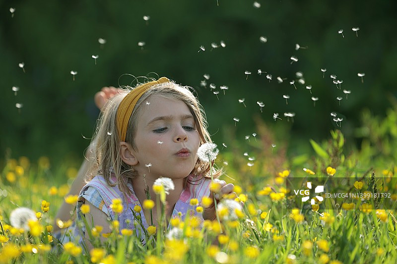 在花田中吹蒲公英种子的女孩图片素材
