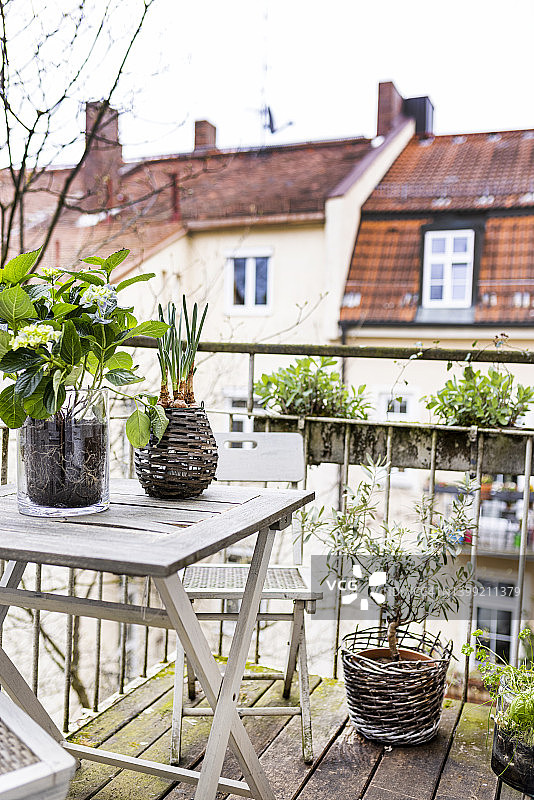 老公寓阳台上的植物图片素材