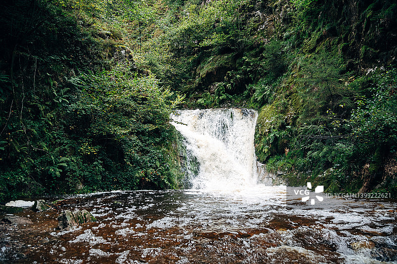森林中的瀑布风景图片素材