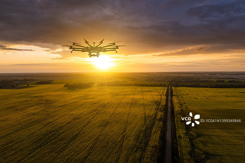 油菜田日落时的农业无人机：农业创新图片素材