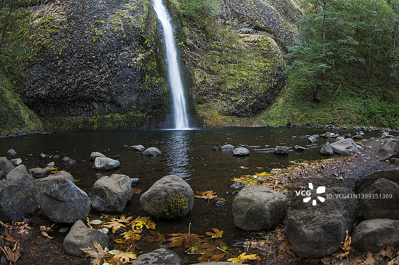俄勒冈州哥伦比亚河峡谷的马尾瀑布和长满苔藓的峡谷壁图片素材