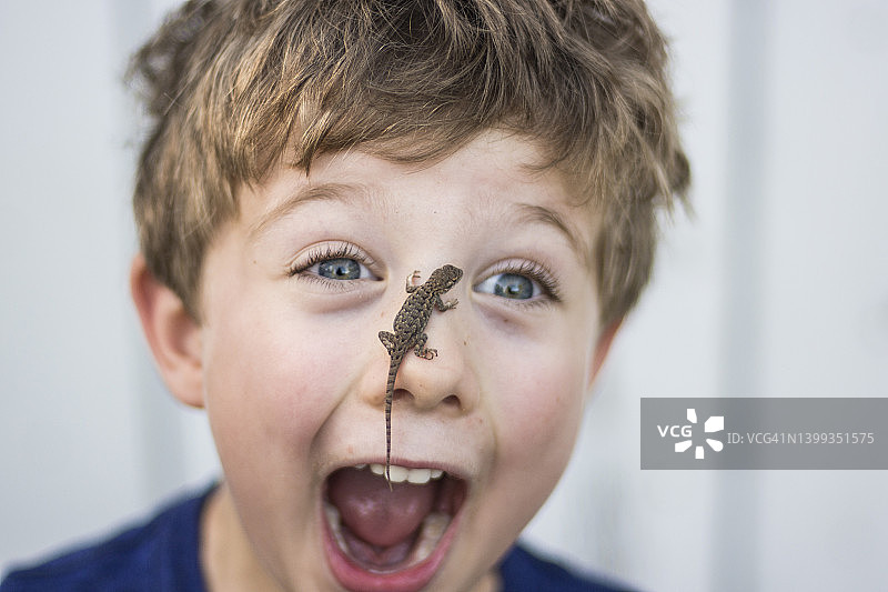 惊讶的蹒跚学步男孩鼻子上趴着蜥蜴，在奇科，加利福尼亚州图片素材