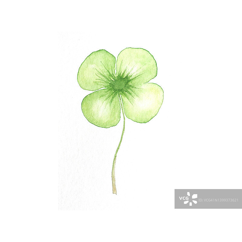 水彩风格的四叶草图片素材