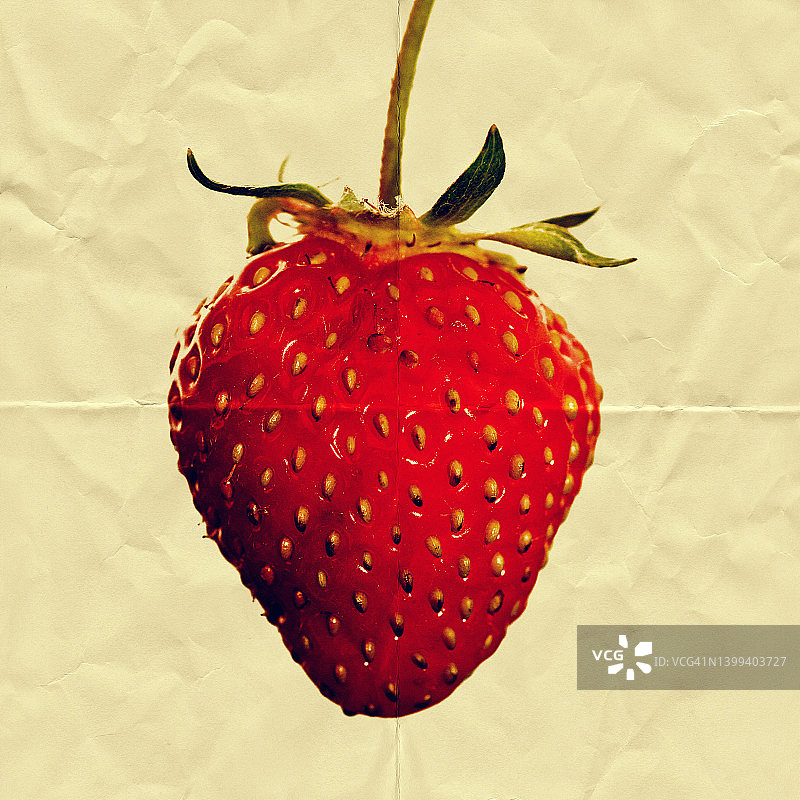 纸草莓图片素材