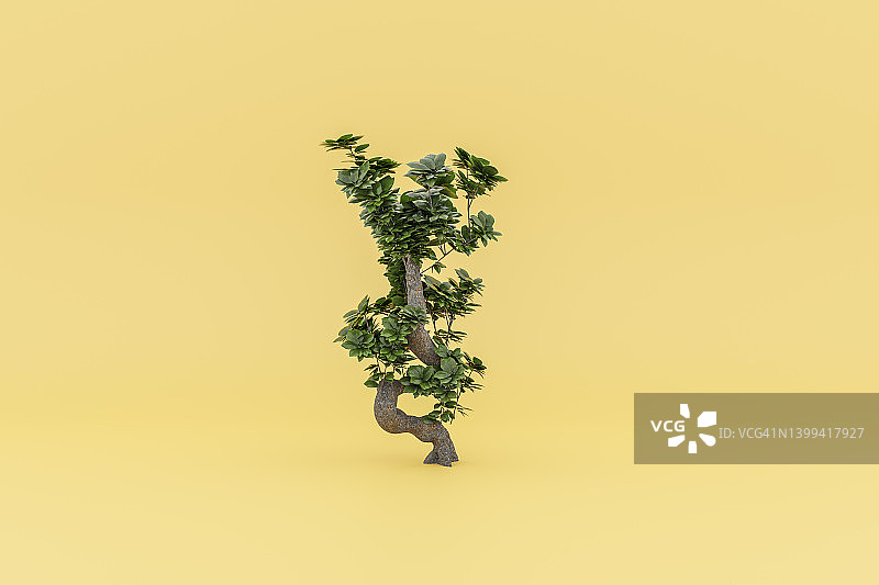 黄色背景上的3D龟背竹图片素材