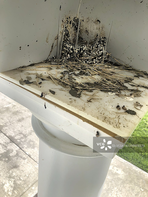 门廊上的鸟窝图片素材