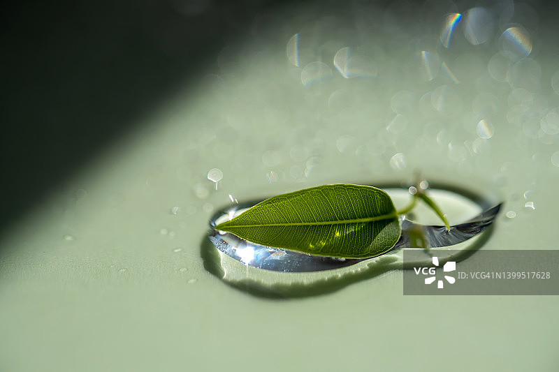 绿色背景上的叶子和化妆品凝胶或精华液滴图片素材