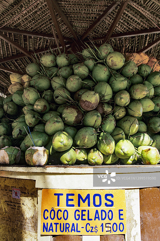 待售的巴西椰子图片素材