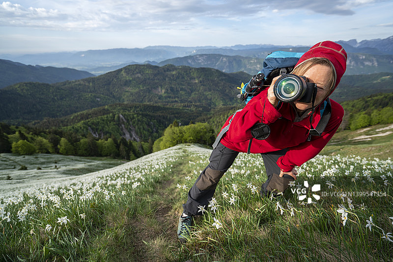 在山上盛开的花田，Golica，斯洛文尼亚的年长妇女拍摄的正面视图图片素材
