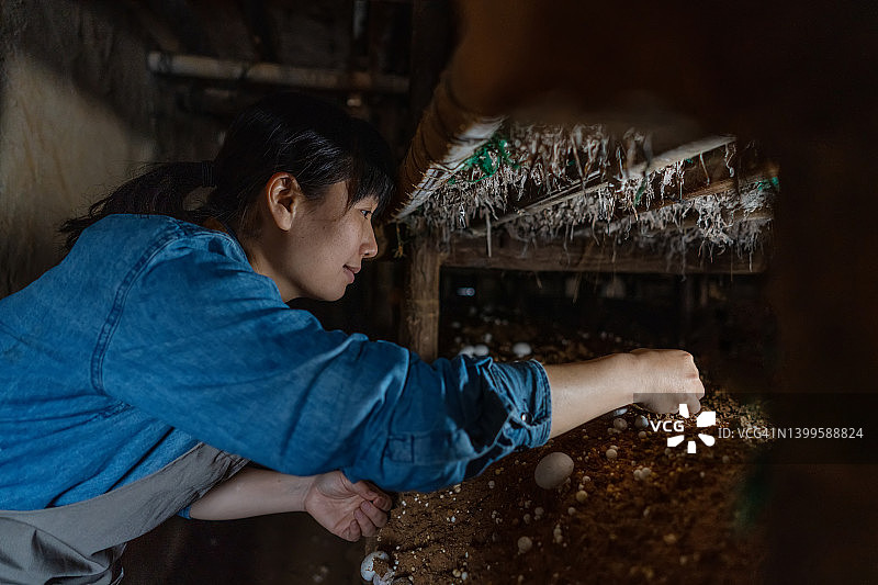 农业工人图片素材