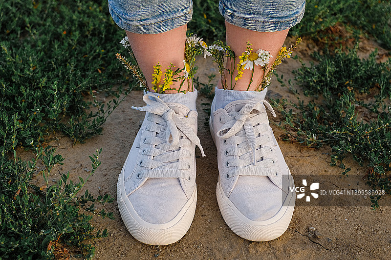 运动鞋中的美丽野花：一位女士或少女穿着时尚的运动鞋和袜子，里面装满了绿色草药和鲜花，以大自然为背景，清新洁净图片素材