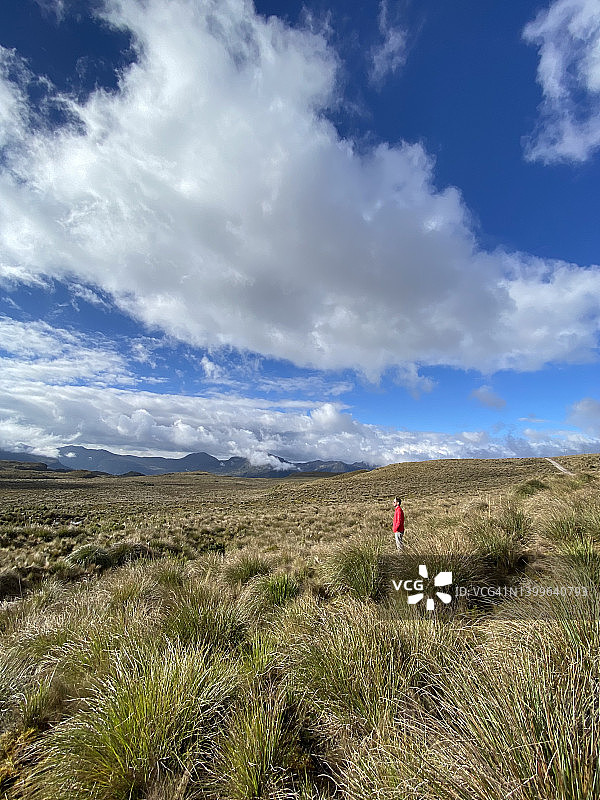 年轻帅气的拉丁裔男性背包客徒步旅行，享受在Sierra高地行走和徒步旅行的假期时光，在基多附近的正午时分，在钦博拉索火山，卡扬贝火山，科托帕希火山前，天空蔚蓝，厄瓜多尔图片素材