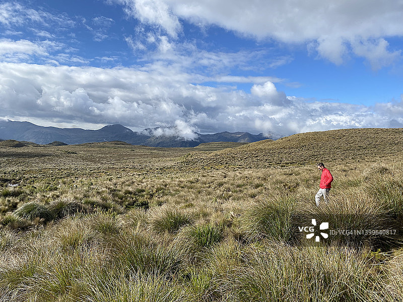 年轻帅气的拉丁裔男性背包客徒步旅行,享受在Sierra高地行走和徒步旅行的假期时光,在基多附近的正午时分,在钦博拉索火山,卡扬贝火山,科托帕希火山前,天空蔚蓝,厄瓜多尔图片素材