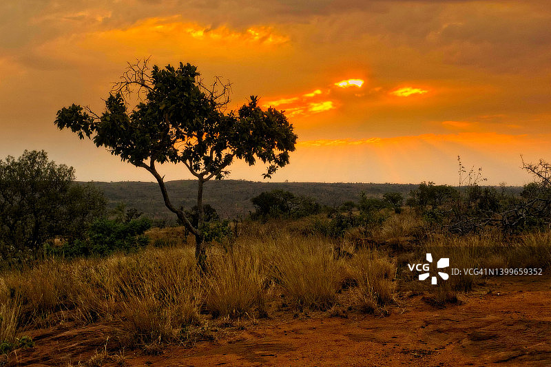 非洲日落图片素材