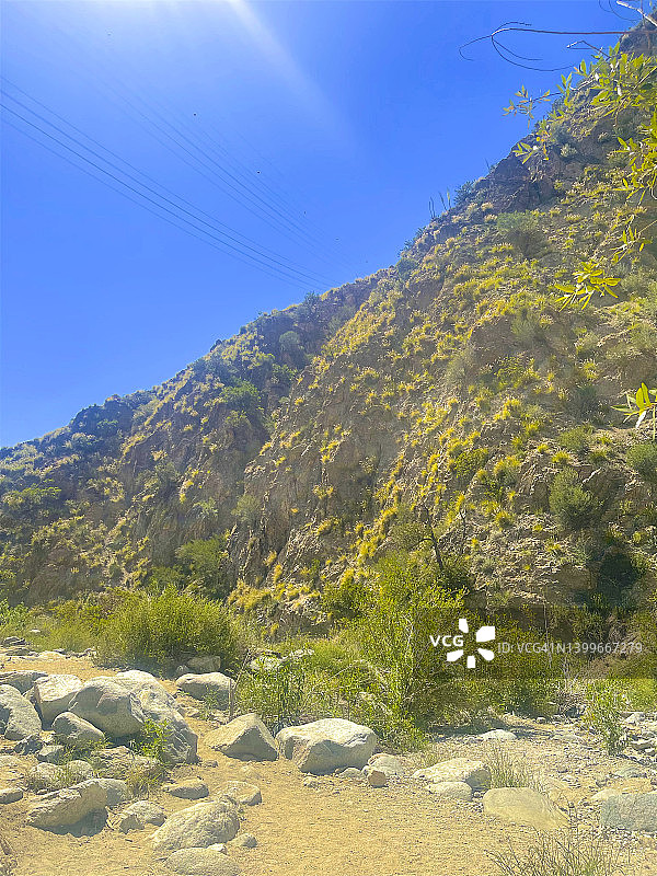 伊顿峡谷步道沿途岩石上生长的巨石、草和植物，帕萨迪纳图片素材