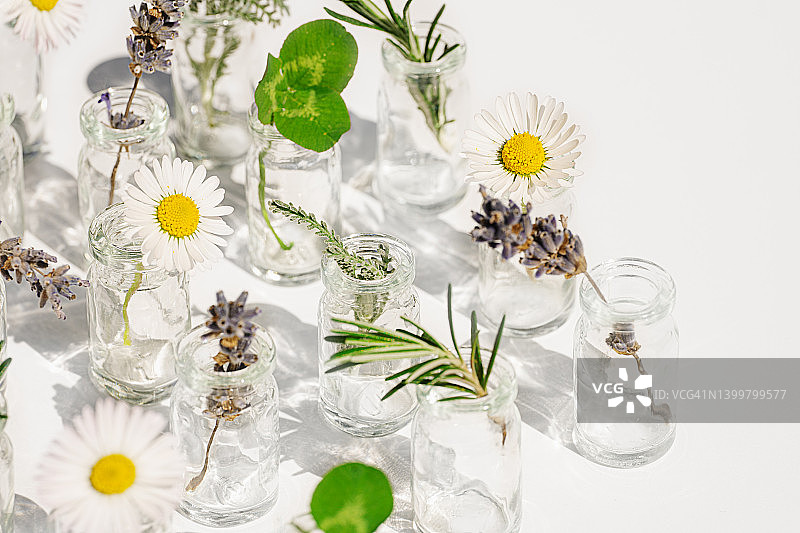 含天然植物的有机生物化妆品概念图片素材