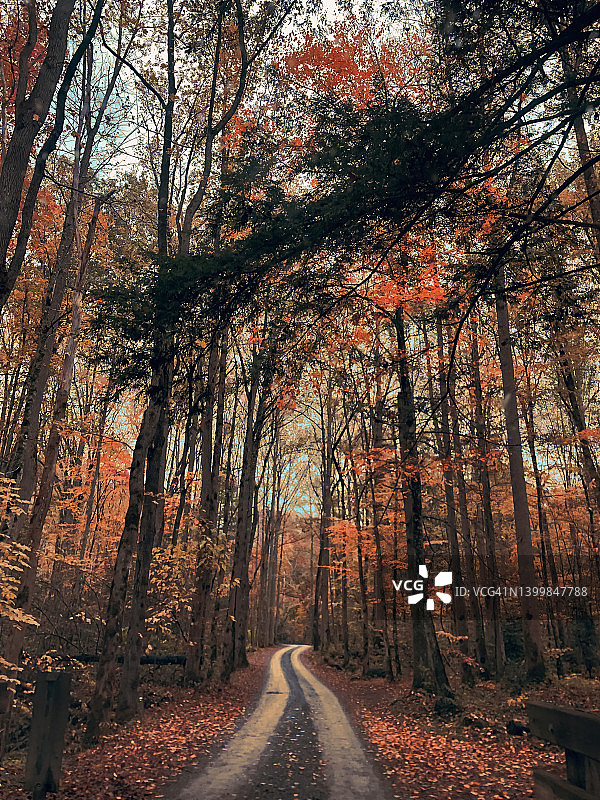 驾车穿越大雾山图片素材