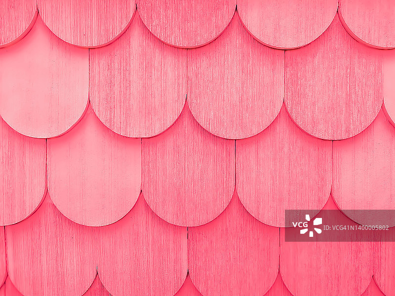 鲜艳泡泡糖粉色扇贝图案背景图片素材