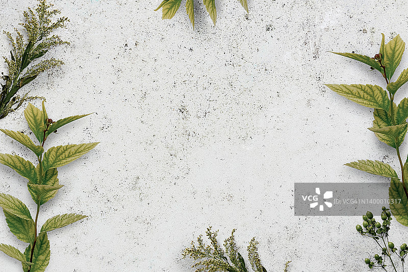 白色背景上的绿色树叶边框图片素材