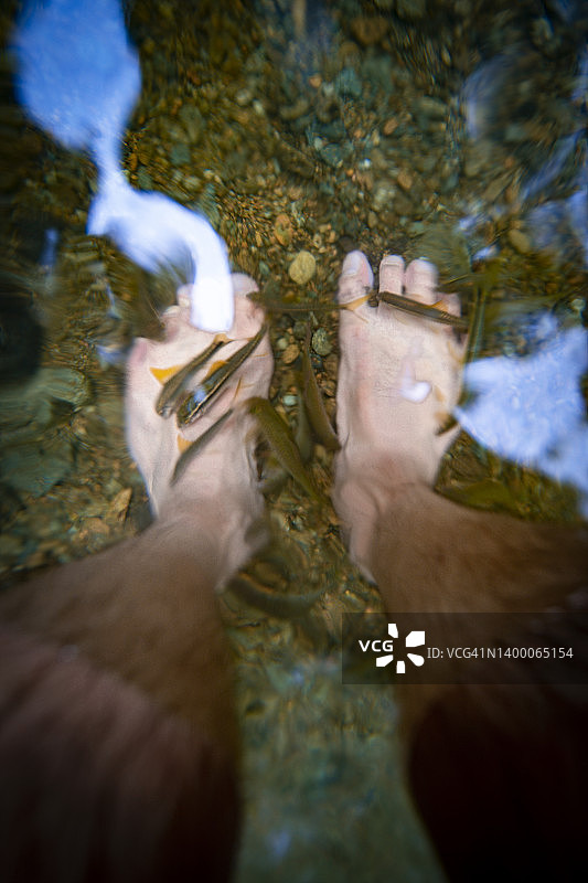 自然鱼疗图片素材