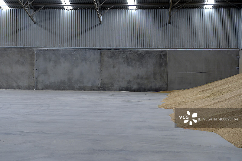 储存中的小麦颗粒图片素材