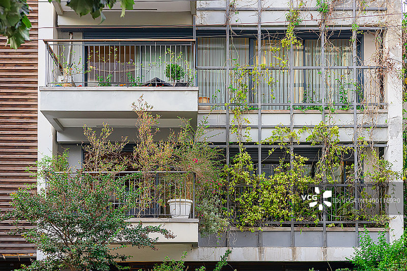 现代住宅阳台盆栽与常春藤装饰图片素材