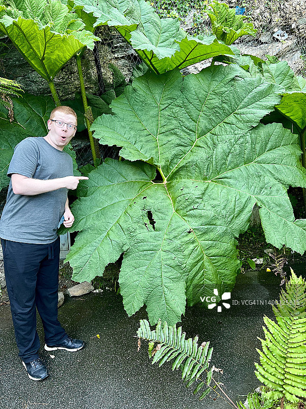 站在巨大植物/树叶旁的男人图片素材
