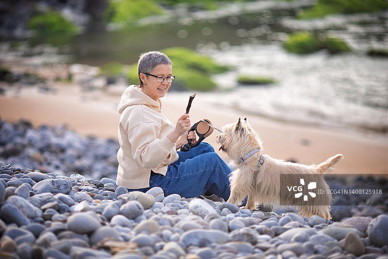 在海滩上和狗一起的女人图片素材