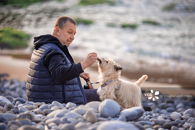 在海滩上和狗在一起的男子图片素材