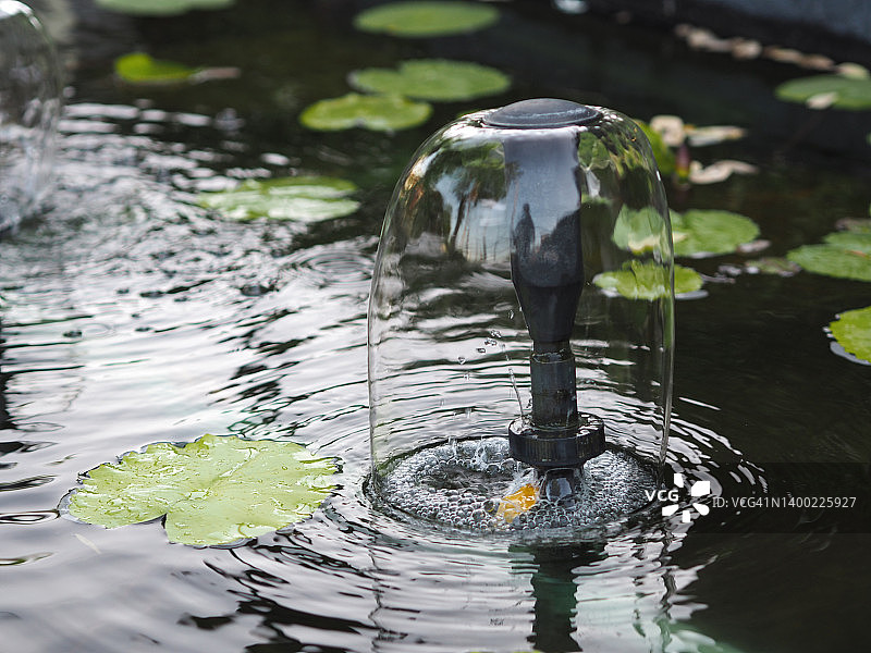 莲花池中的喷泉图片素材