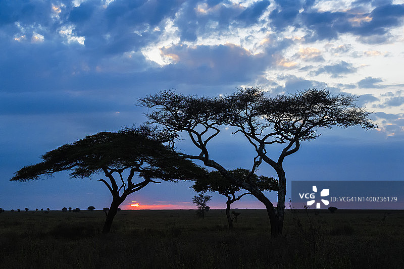 非洲日落图片素材