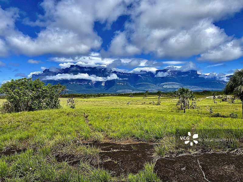 卡奈马大萨瓦纳国家公园图片素材