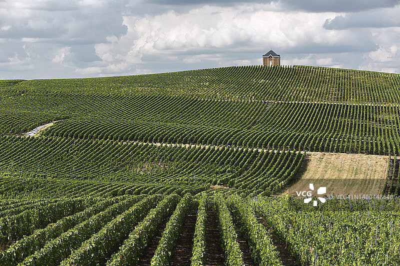 法国埃佩尔奈附近Chouilly公社山丘上的香槟葡萄园图片素材
