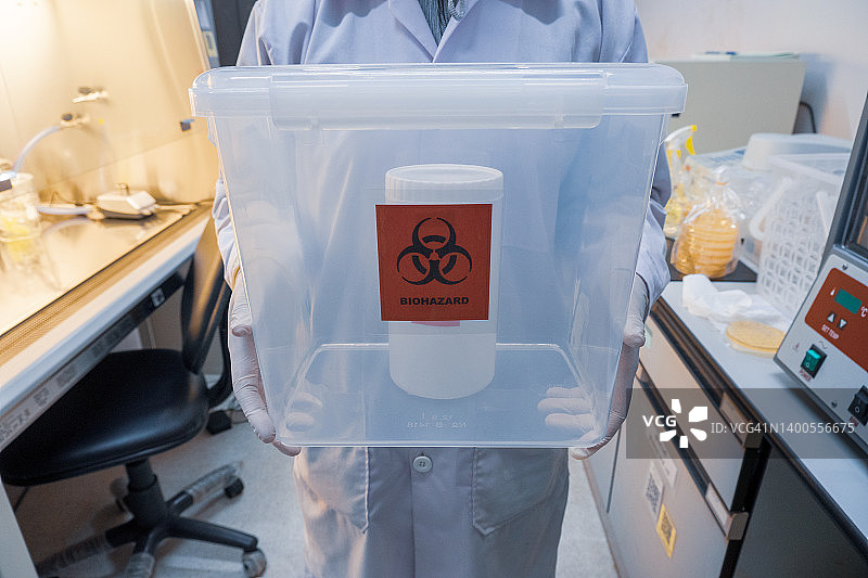 在实验室检查抗生素的培养皿的特写镜头。图片素材