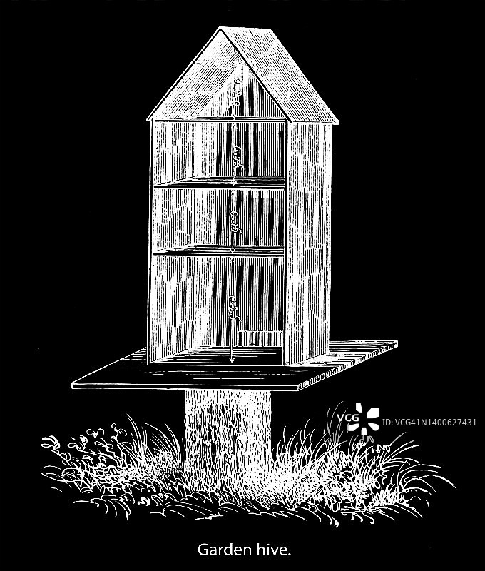 花园中的蜂箱古老雕刻插图图片素材