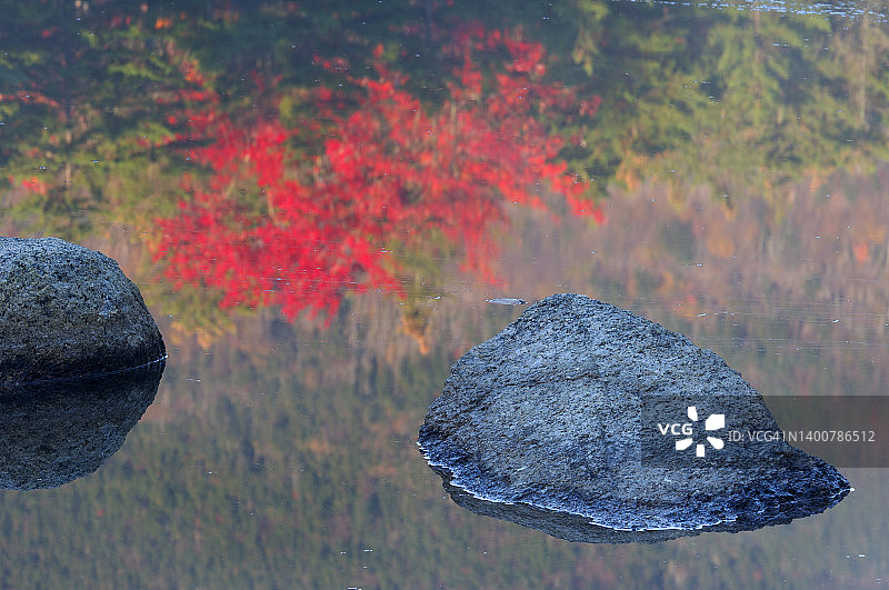 岩石与枫树秋叶倒影的睡莲池塘，美国新罕布什尔州白山国家森林图片素材