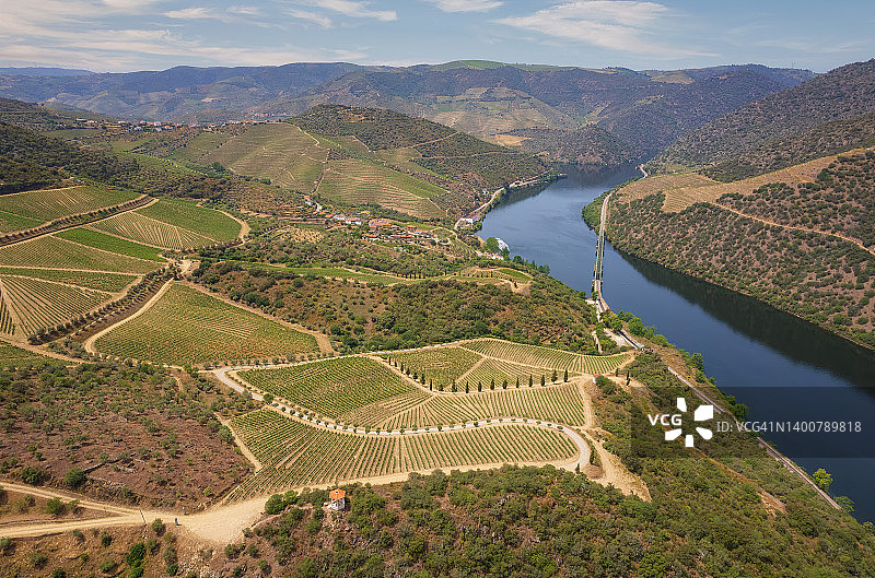 费拉多萨葡萄园图片素材