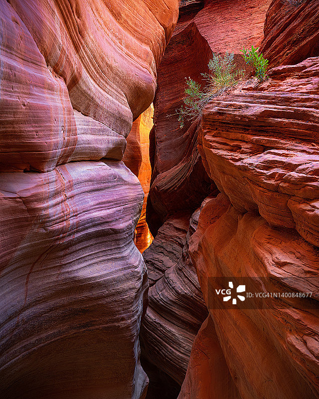 窥视峡谷中引人注目的色彩图片素材