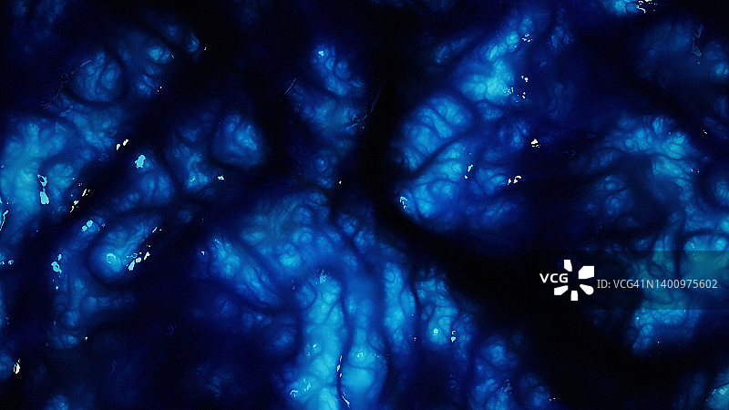 微生物有机表面特写图片素材