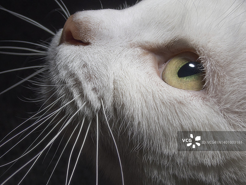 瞻博网络图片素材