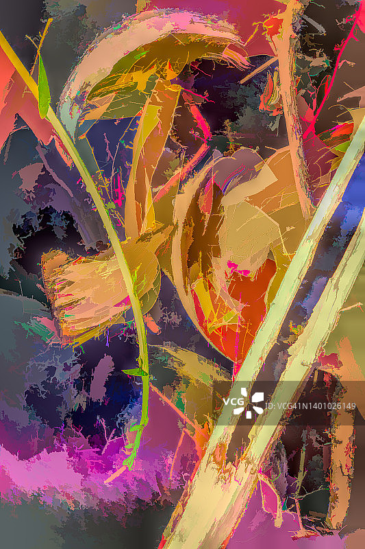 热带色彩图片素材