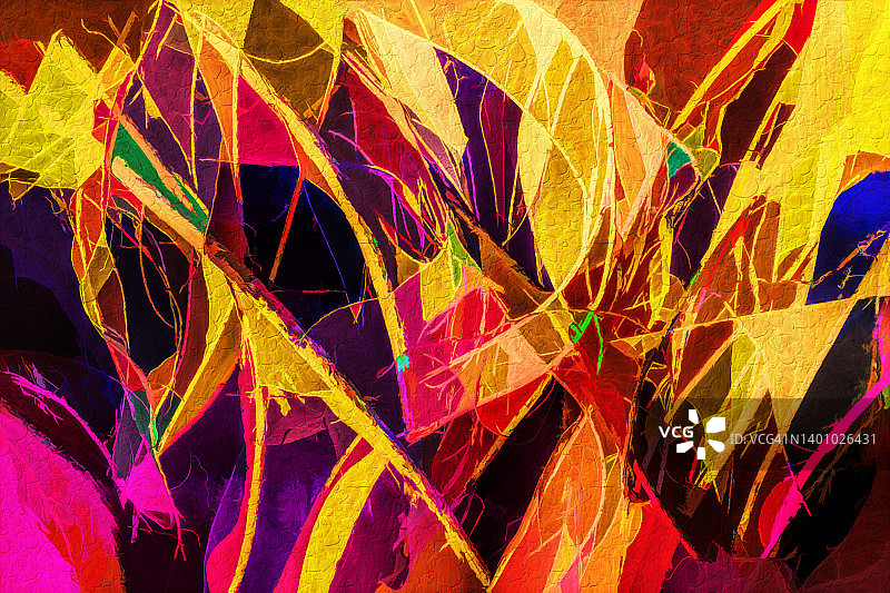 热带色彩图片素材