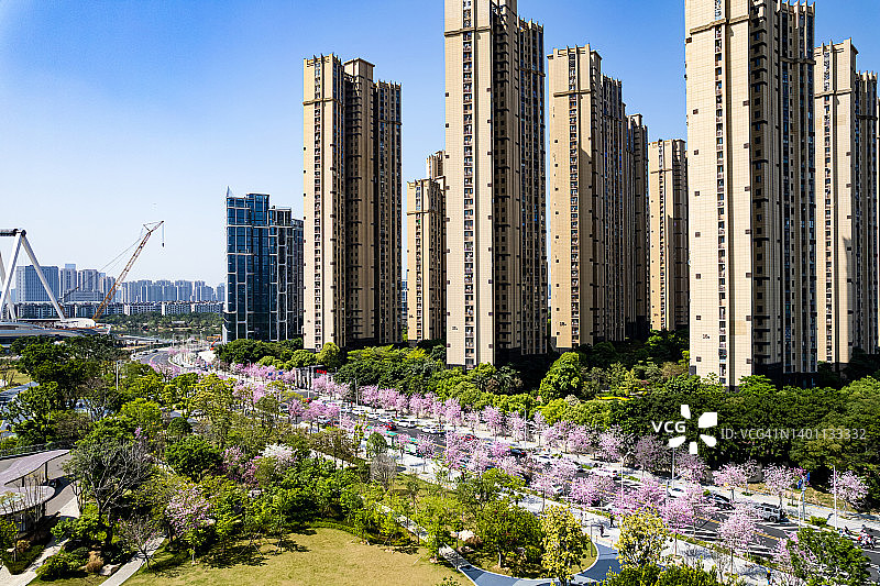 城市房屋和道路两侧图片素材