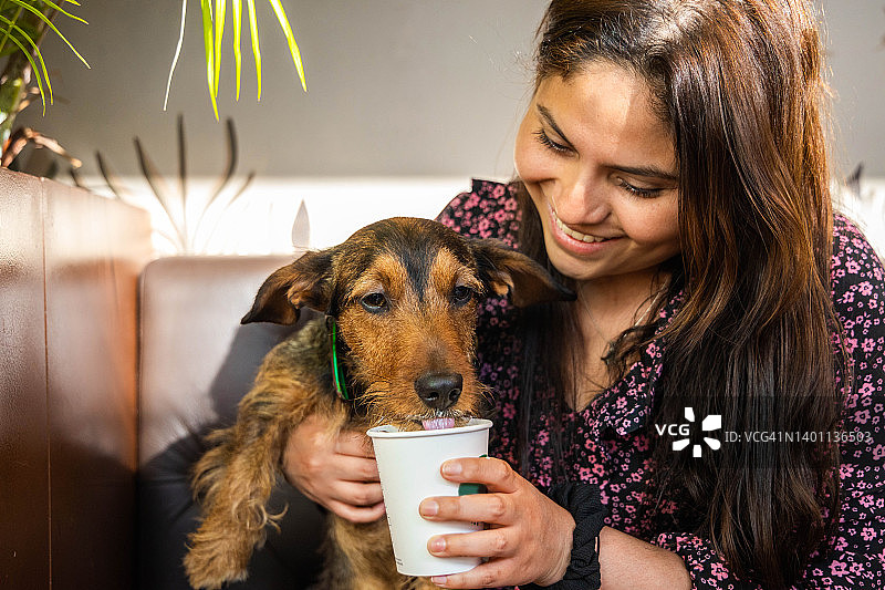 可爱的小腊肠犬在著名咖啡馆喝Puppuccino图片素材