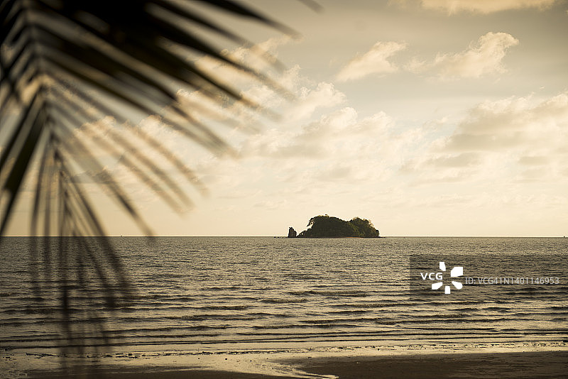 小岛和椰子树叶景色图片素材