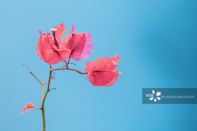 自然美景图片素材