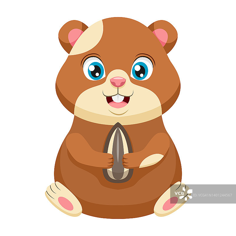 拿着葵花籽的仓鼠图片素材